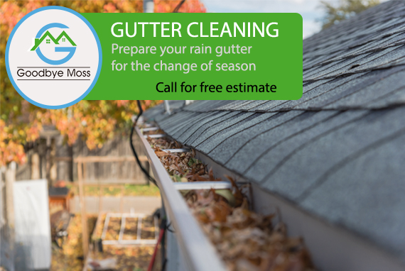 Gutter_Cleaning